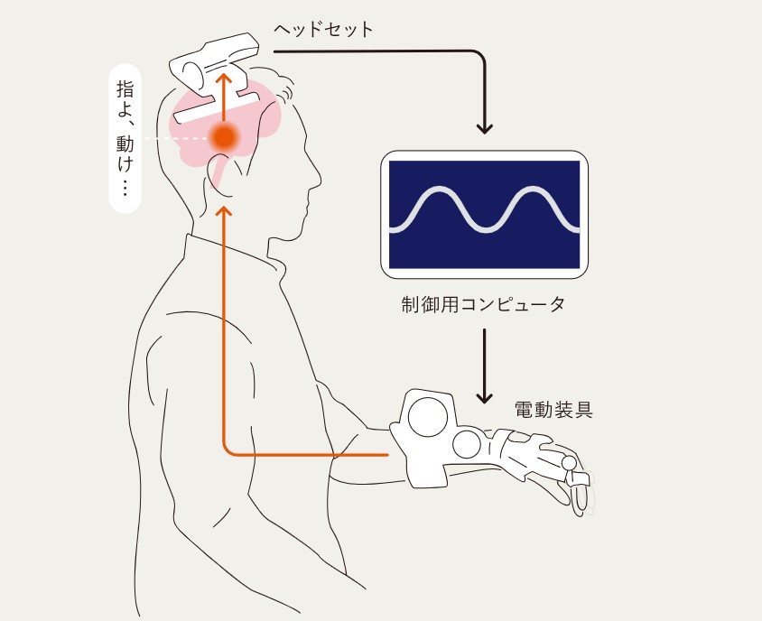 BMIのメカニズムの図