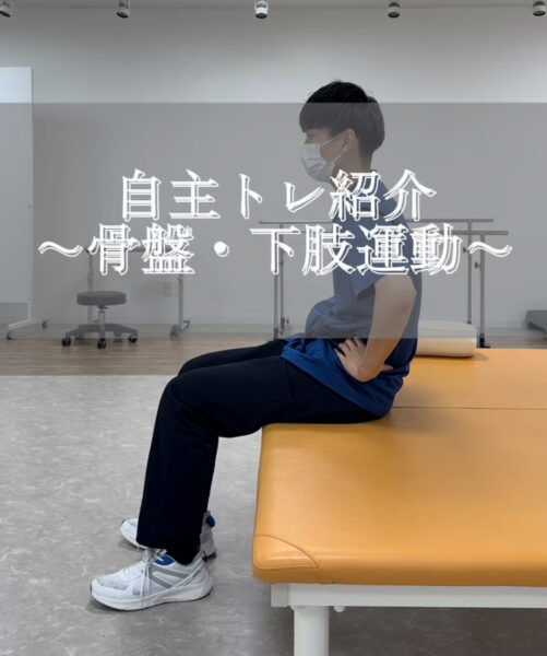 自主トレ紹介～骨盤・下肢運動～#shorts