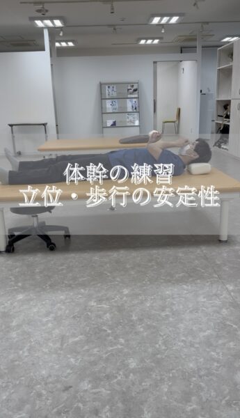 体幹の練習　立位歩行の安定性